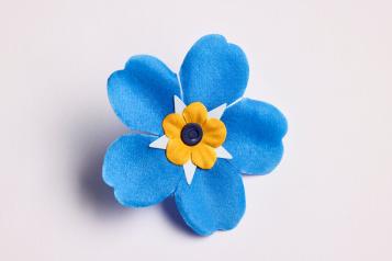 Forget Me Not